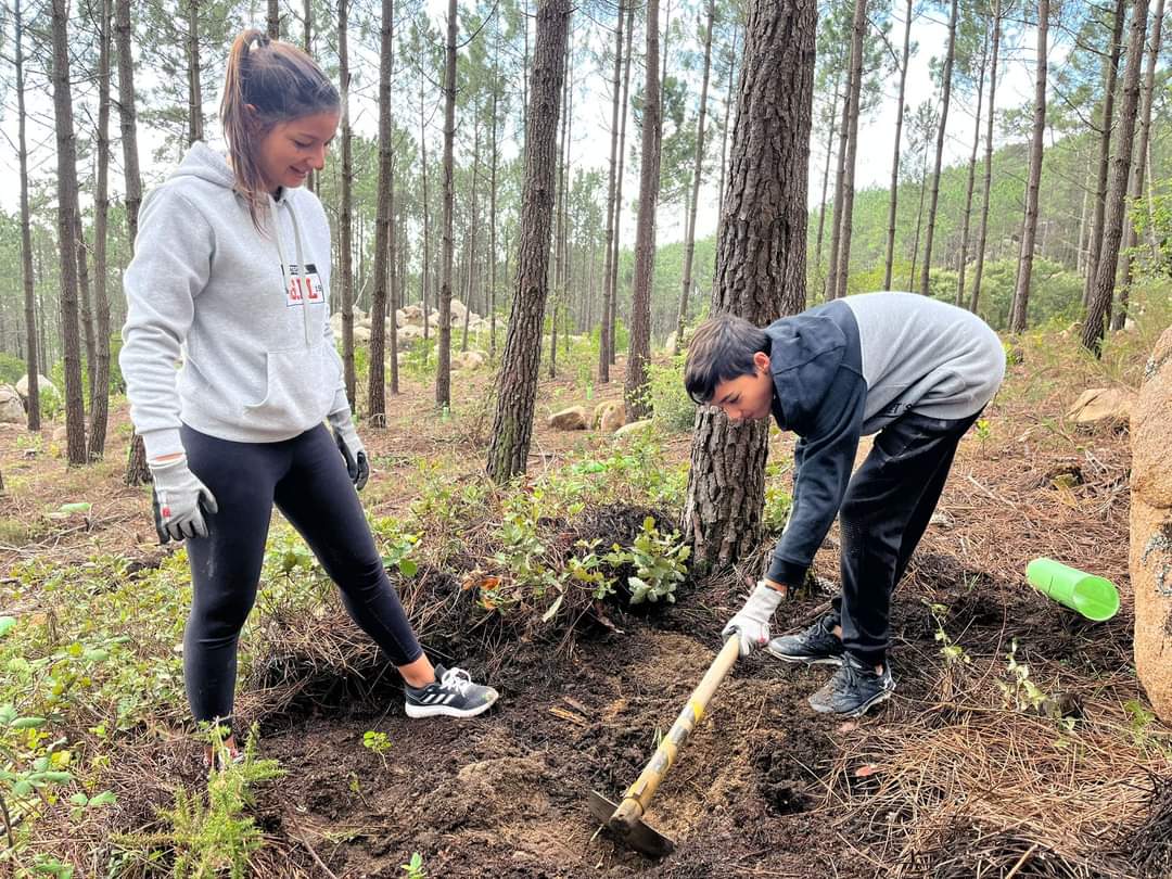 Plantação Outubro 2022 PI Plantação Outubro 2022 PI