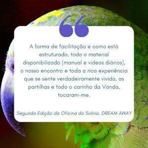 Dream Away 2ª edição